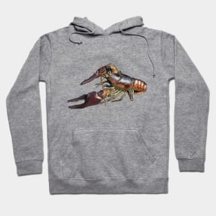 crayfish Hoodie